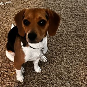 Meet your Posher, jaymie